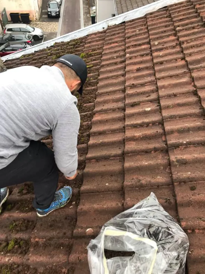 Démoussage et nettoyage de toiture en Moselle