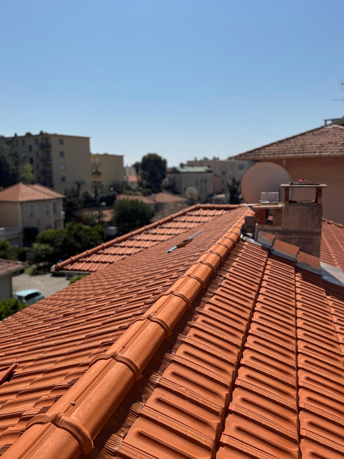 Faîtage de tuiles refait par TB Toiture, panorama ensoleillé