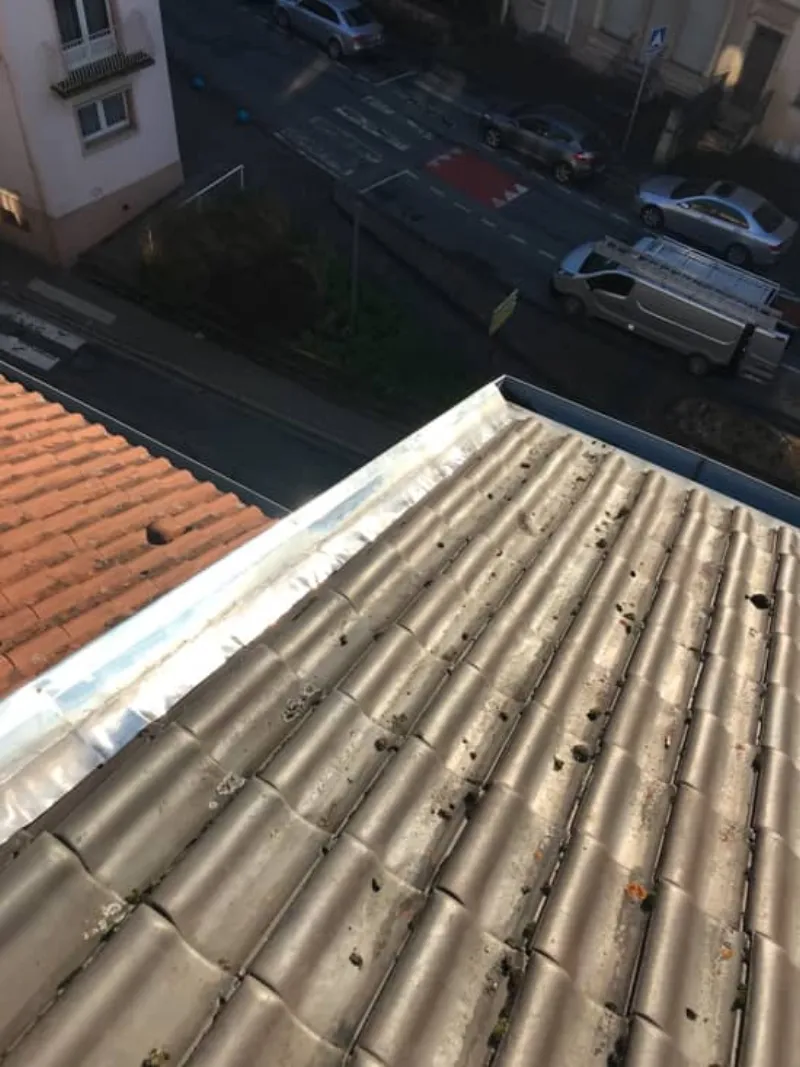 Travaux de zinguerie et noue en zinc à Thionville